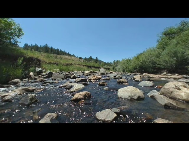 Serene Scenes - Water Study 3 - VR180 3D Virtual Reality - Arden