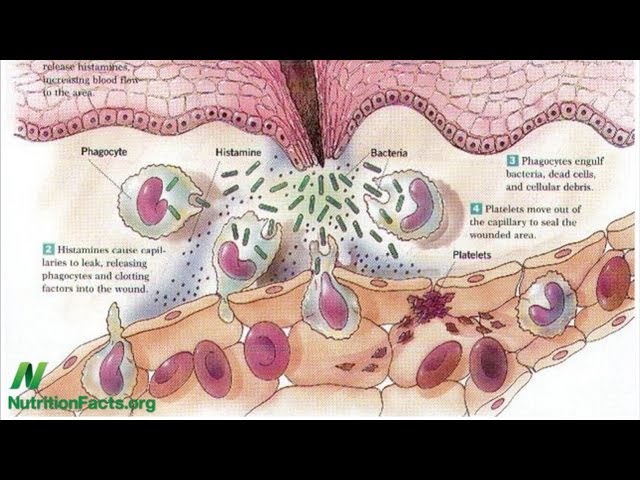 Chicken, eggs, and inflammation