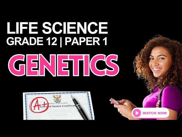 Grade 12 Life Sciences: Paper 2 | Genetics — Matric Exam Essentials