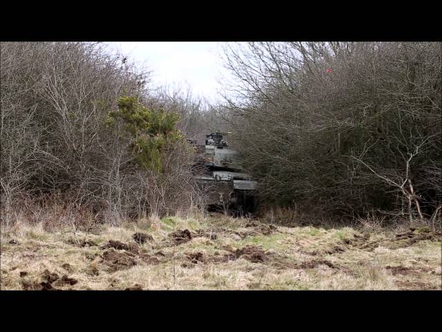 Royal Tank Regiment Training March 2015