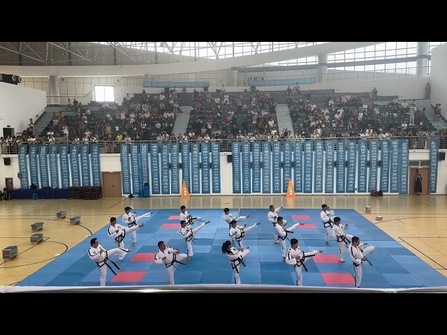 ITF China Team Patterns Demonstration - Hwarang Tul #taekwondo #martialarts