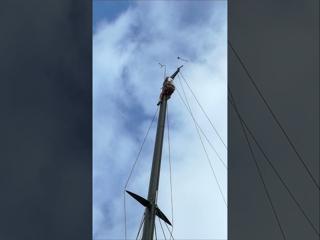 How high is a J Class mast head? #sailing #classicboat #sailboat #yachting #jclass