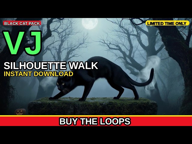 Silhouette Walk VJ Loop | Halloween Visuals for DJ Sets and LED Walls