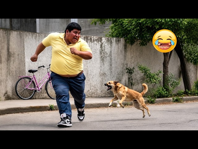 TRY NOT TO LAUGH 😂 Top 100 Funniest Videos Ever | Memes Epic Fails & Pranks Compilation 2026 EP 02