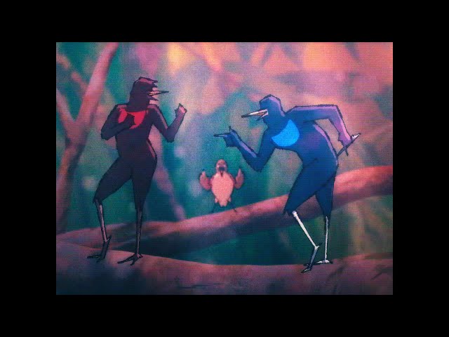 let's groove but dancing birds