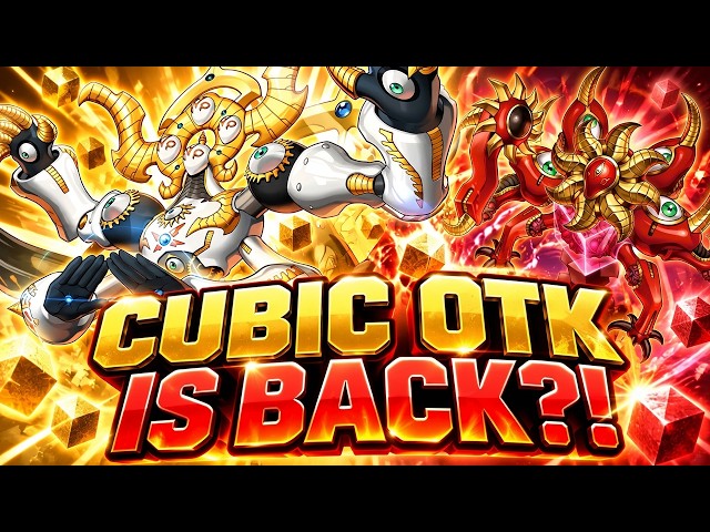 The NEW CUBIC Support Makes the Classic OTK Even BETTER?!