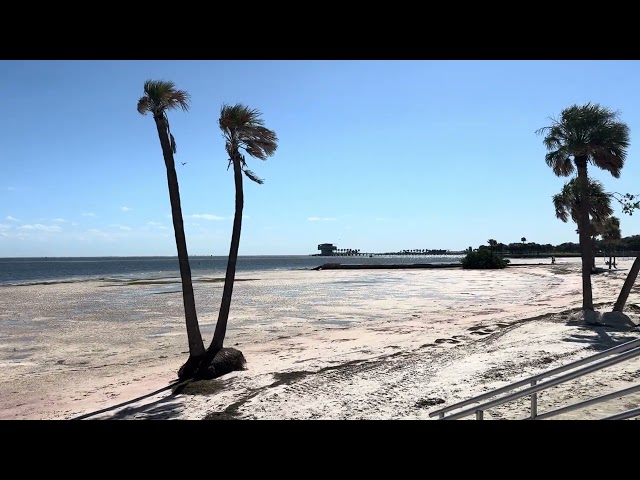 Windy Tampa Bay Tropical Meteorological Discussion Low Pressure Weather Analysis October 23, 2026 