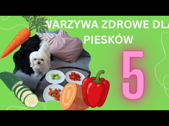 5 warzyw bezpiecznych dla psa