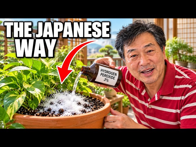 9 Ways Japanese Homes Use Hydrogen Peroxide (That Americans Never Think Of)