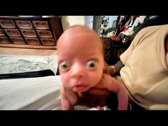 1 hour of memes but you will laugh every second