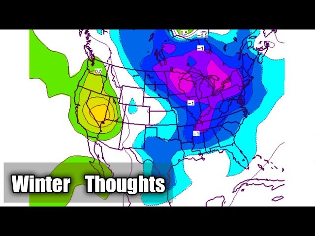 Winter Thoughts #5