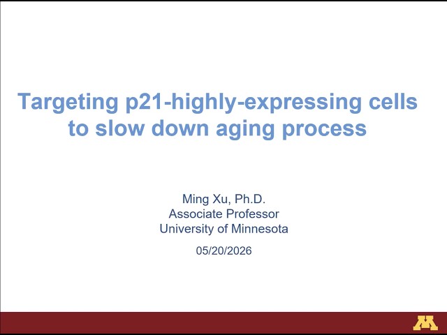 Targeting p21 highly expressing senescent cells to slow down aging process in mice