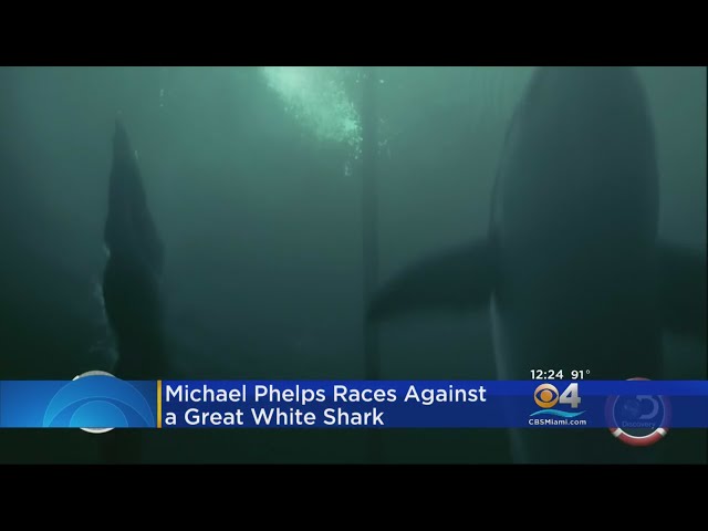 Michael Phelps Races Against Great White Shark