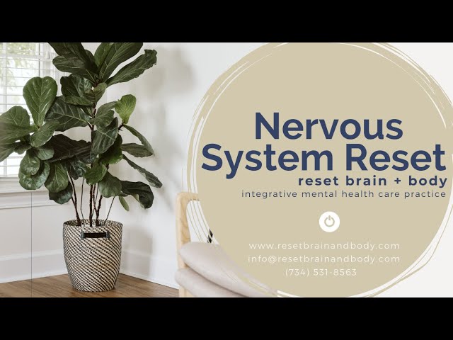 Nervous System Reset