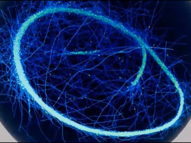 Dimitrios Vavylonis - Cell Patterning for Division and Growth