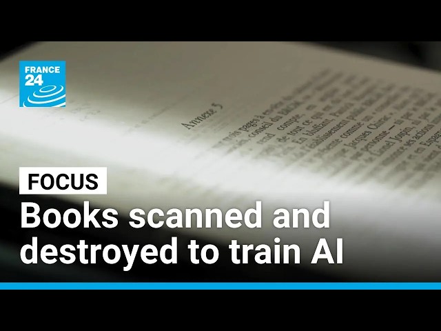 How books are being scanned and destroyed to train artificial intelligence • FRANCE 24 English