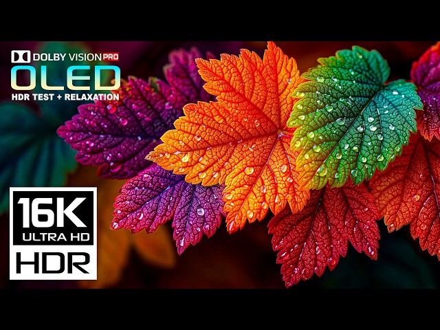 Beyond Imagination OLED Display Test | 16K HDR 60fps Dolby Vision | 8K/4K Video ULTRA HD TV