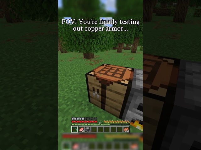 pov: you're finally testing the new things  #minecraft #new #update