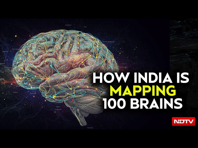 Inside IIT Madras Brain Centre: Mapping 100 Human Brains From Foetus To Old Age | Exclusive