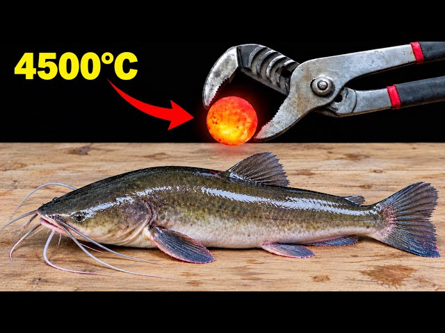 🔥 What Happens When a Hot Ball Touches Fish, Glass, Sponge & Aloe Vera Gel? 