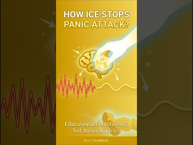 How Holding Ice Stops Panic Attacks Fast: The Science of Sensory Grounding & DBT TIPP Skills