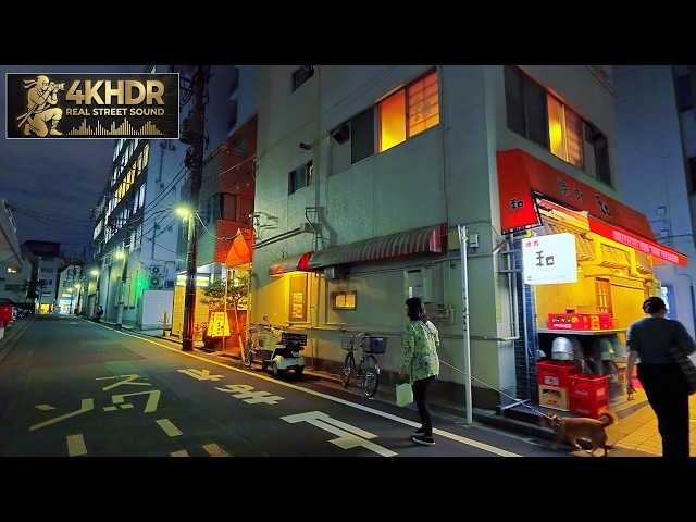 Quiet Tokyo Evening Walk Through Historic Literary Streets | Japan 4K HDR