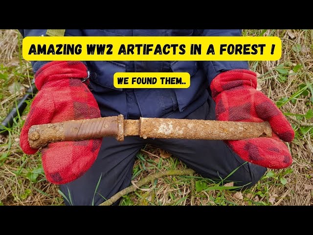 WW2 forest hides secrets.We found them ! #WW2Secrets#HiddenHistory#LostWW2#MysteryDiscovery