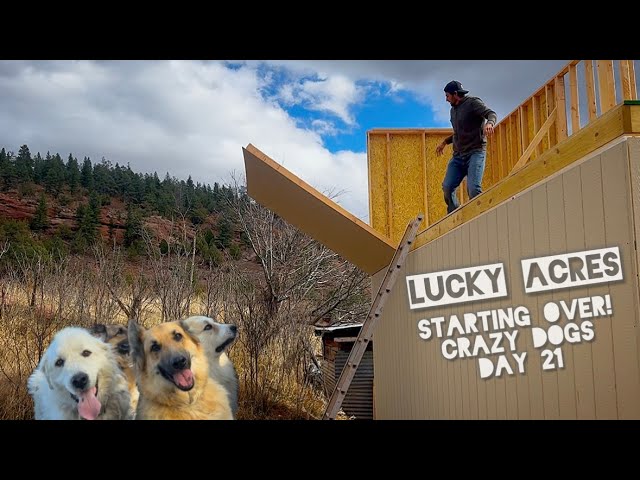 I Ripped Off The Second Floor... Then Rebuilt it in ONE DAY with 4 crazy dogs (Day 21)