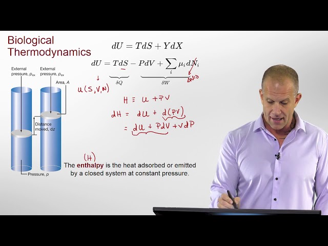Introduction to Biological Thermodynamics