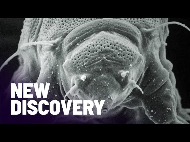 Scientists Discover The Secrets of Cells Using Ultra-High Tech