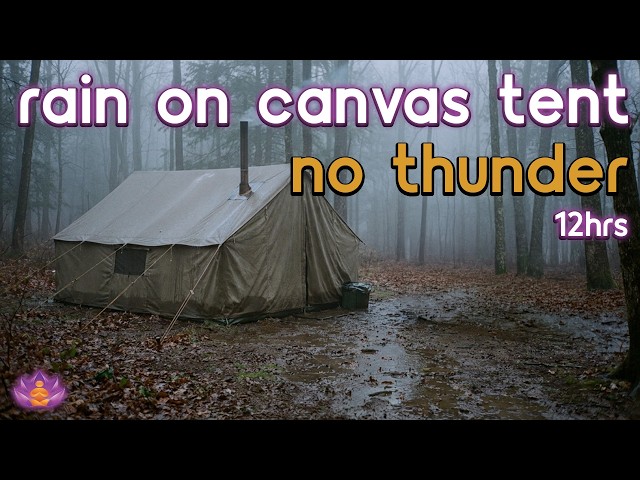 [Black Screen] Resting in Tent | Rain on Canvas Tent – No Thunder | Sleep Rain Sounds