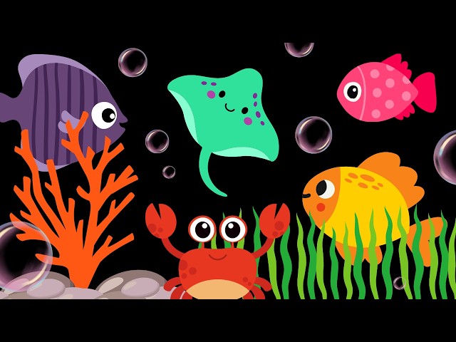 Baby Sensory Video - High contrast - Sensory Videos for Babies - Visual Stimulation for Newborn
