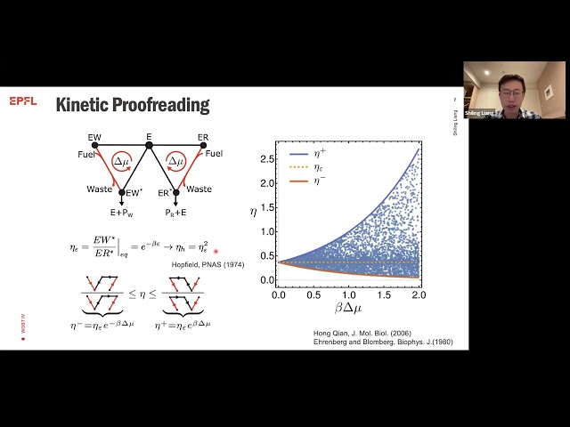 Universal thermodynamic bounds on symmetry breaking in living systems: from error correction to...
