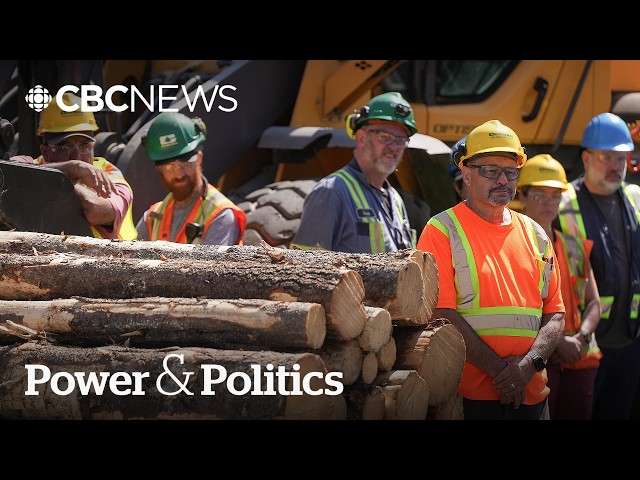 Is B.C's forestry industry at its breaking point? | Power & Politics