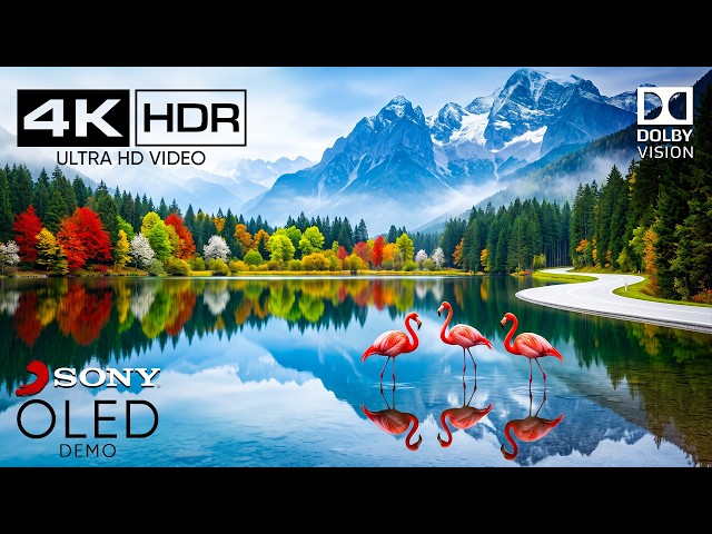 Beyond the Horizon: Epic Dolby Vision 4K HDR 120FPS | Insane OLED DEMO TEST (8K/16K TV Ultra HD)