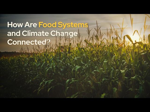 How Are Food Systems and Climate Change Connected?