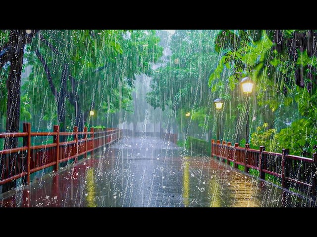 [FALL ASLEEP FAST] Don’t Watch, Just Listen to Natural Rain on an Empty Road at Night
