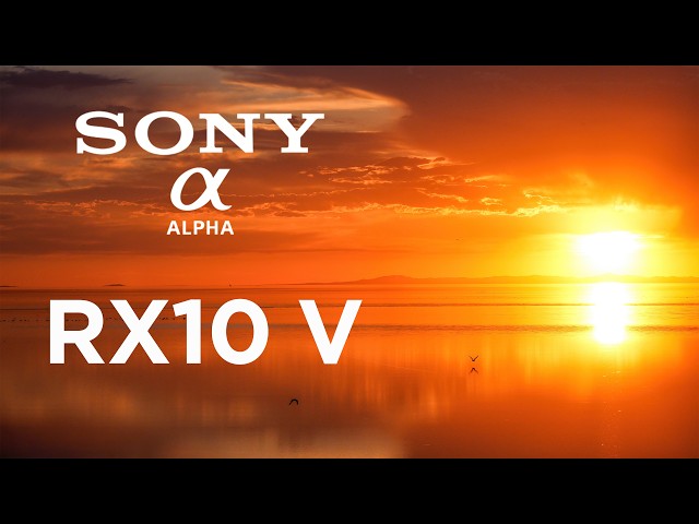 Sony RX10 V - The Perfect All-In-One Camera For Travel