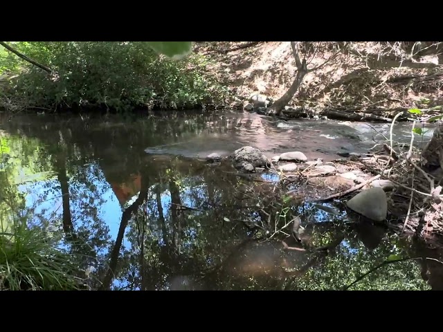 The Bible's Old Testament, I Samuel XVII--video 3. David vs the Beast
