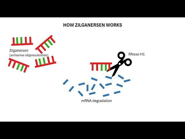 How Zilganersen Works: The Science Behind the First Alexander Disease