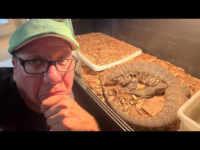 Winter is Coming! 🥶🦎❄️🐍🥶 First COLD Front blew in!  | Inside Winter Enclosure Build PART 1 