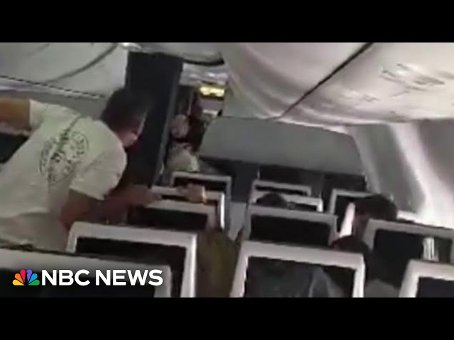 Passengers stop co-pilot’s attempt to crash plane headed for Israel