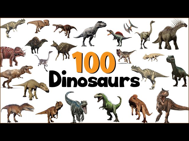 100 Dinosaur names in english with pictures |  Learn Dinosaur Names | Dinosaurs Vocabulary