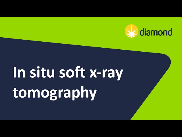 Lecture 5: In situ soft x-ray tomography - Valentina Loconte (B24)