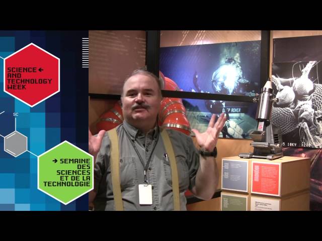 National Science and Technology Week Champion | Tim