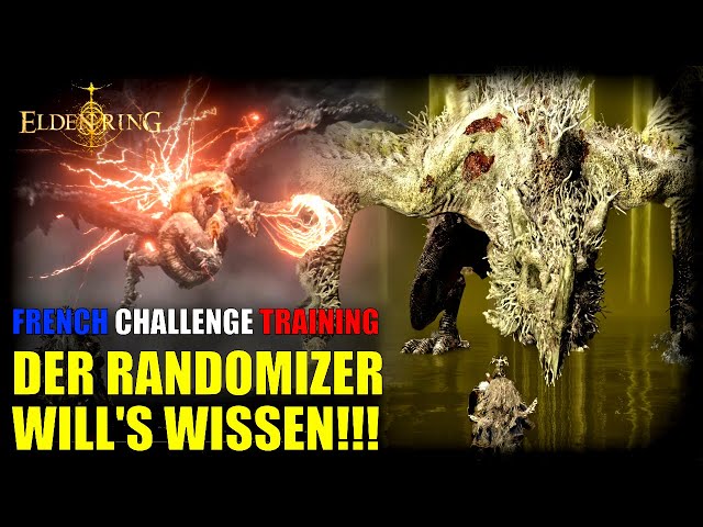 Gleich 2 FIESE DRACHEN und nur FÄUSTE als Waffe! | French Challenge Training (Radagon/Elden Biest)