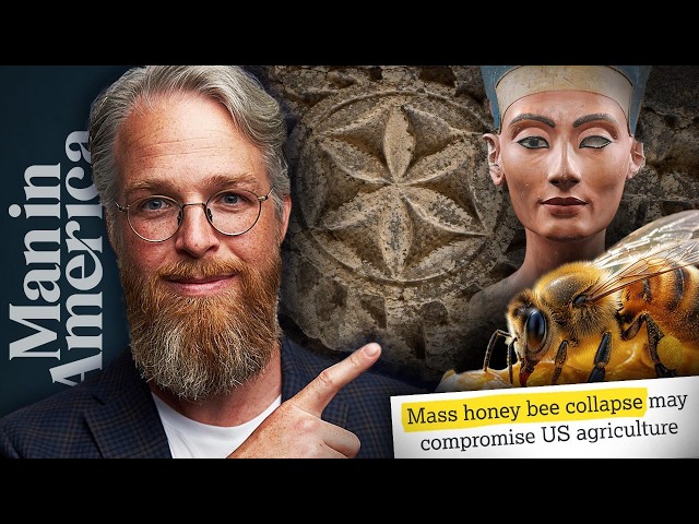 Why Are Bees Really Dying? The Answer Was Carved in Stone 5,000 Years Ago