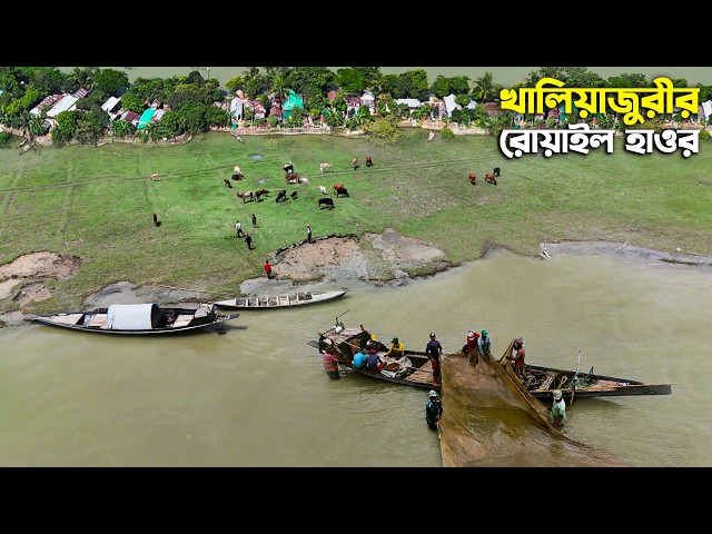 নেত্রকোনার খালিয়াজুরীর রোয়াইল হাওরের জীবনধারা | Haor Life | Panorama Documentary