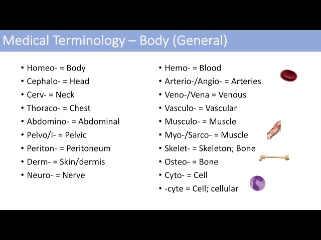 Medical Terminology - The Basics - Lesson 1
