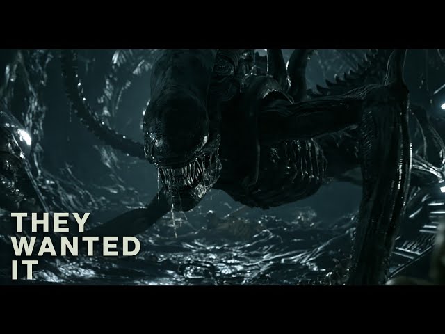 The Company Knew Everything | Alien Lore